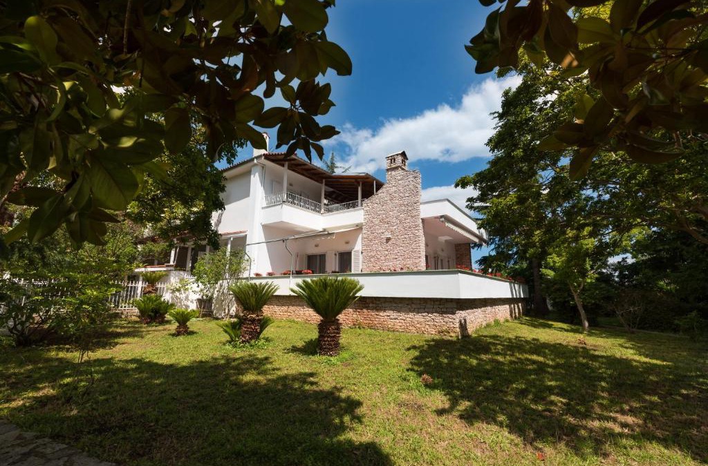 Skotina Villa | Exotic Palm Villa