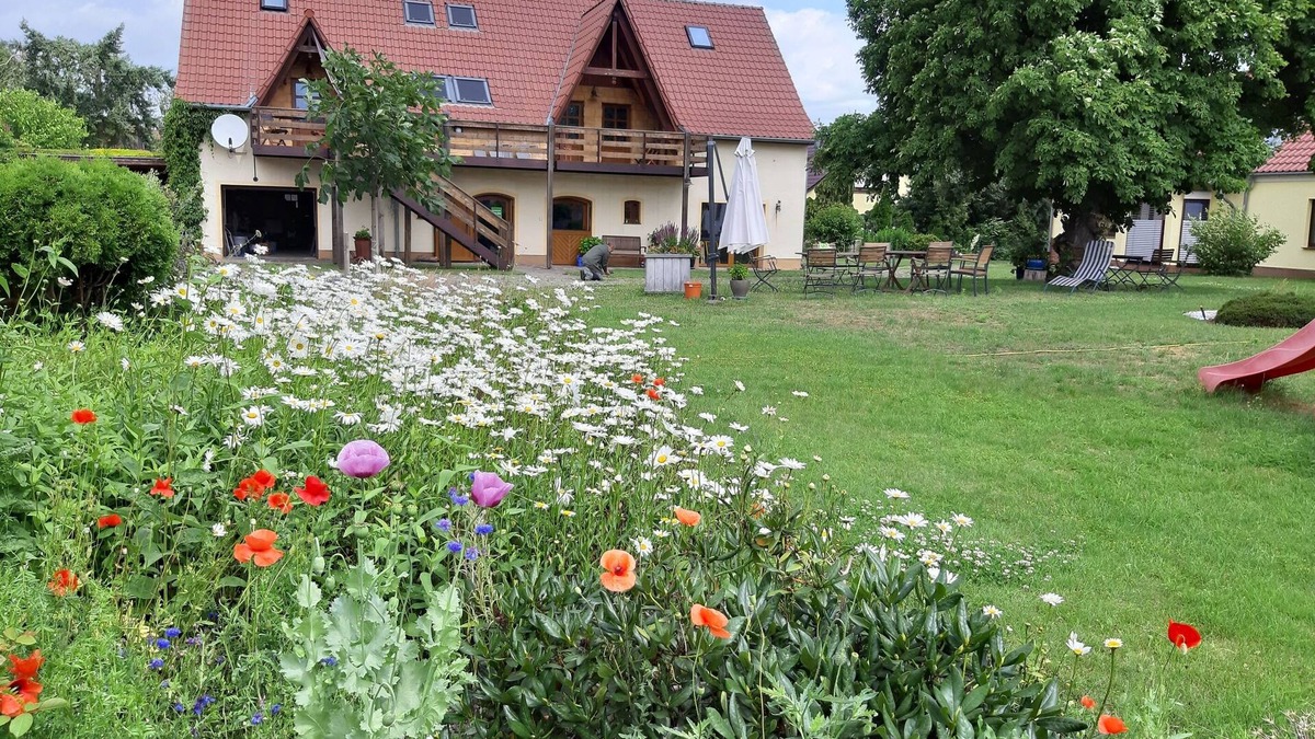 Friedrichsthal Apartment | Experience silence, in the National Park 'Lower Oder Valley'