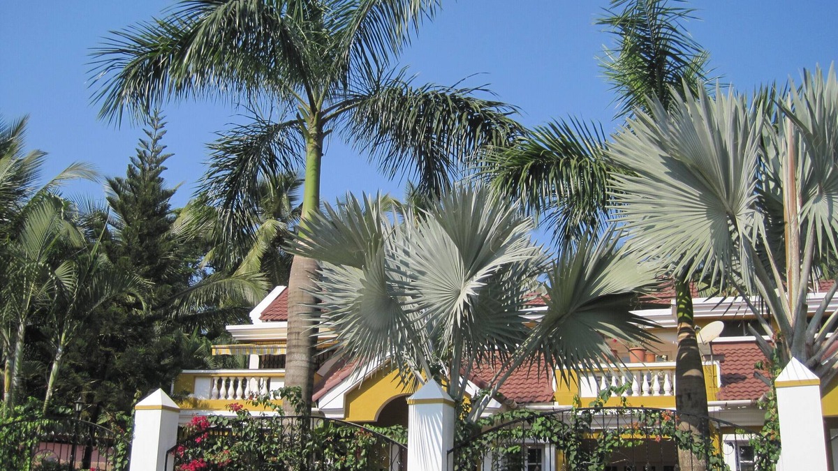 Betalbatim House | Experience the revitalizing Goa - Boutique Villa 600 m from the beach