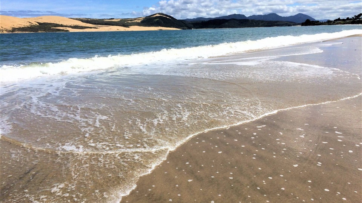 Omapere Apartment | Explore the beautiful Hokianga area from this comfortable self contained flat.