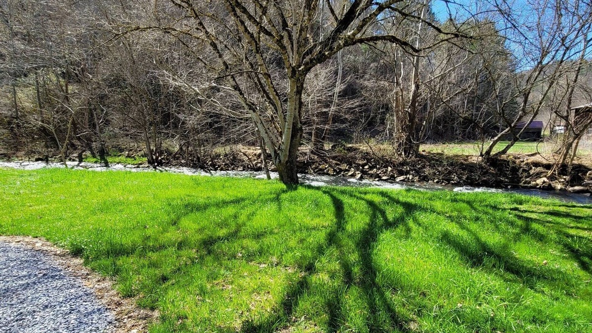 Del Rio RV Rental | Extra large grassy creekside tent site!