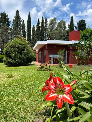 Tristan Suarez Villa | EZEIZA 10 minutes the air port, barrio privado la celia quinta tauro
