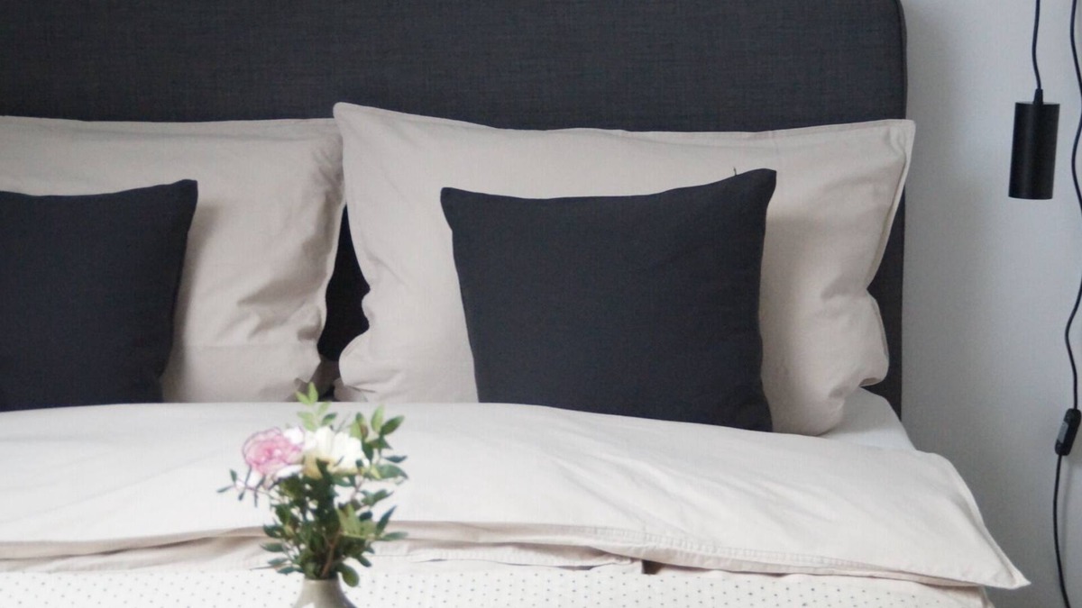 Serach Apartment | F&E | cozy & central accommodation