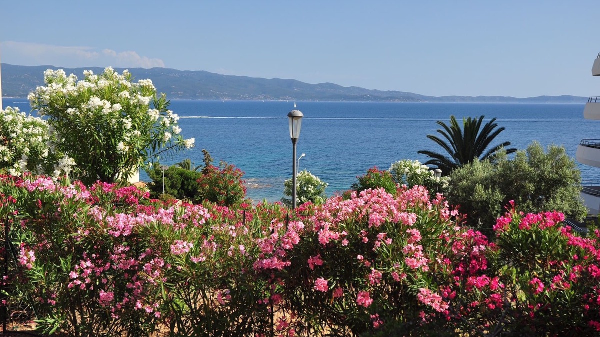 Ajaccio Apartment | F2, TerraceView Sea, Beach 50m, Wifi, Clim, Rte des Îles, Quiet