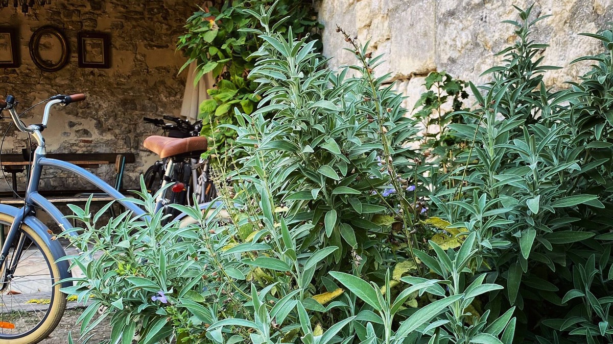 Senlis Bed & Breakfast | Fab House - Les maisons fabuleuses
