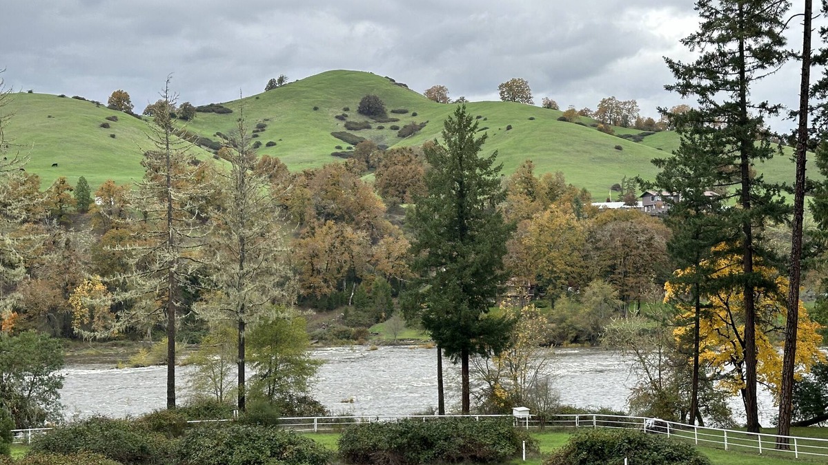 Roseburg House | Fall discounted rate: 10% off! Perfect for Family Gatherings!
