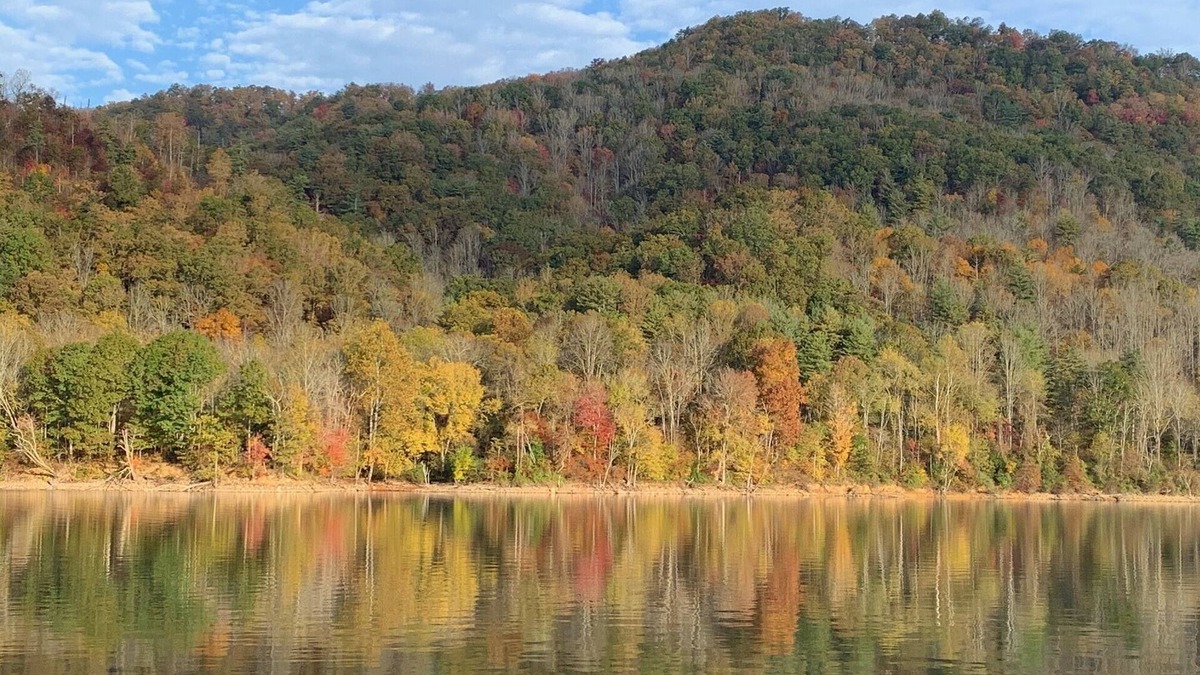 Butler Cabin | Fall for Lakefront Bear Cub Cabin on Watauga Lake