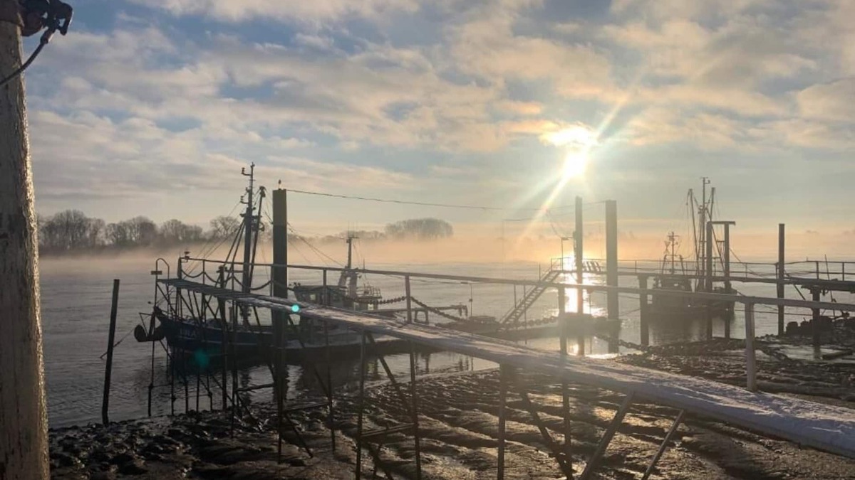 Brake Apartment | Familien-apartment Direkt am Wasser