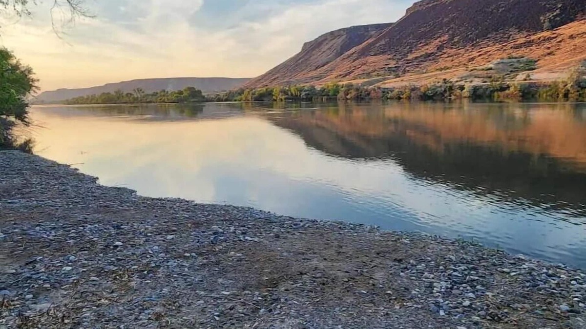 Murphy Cabin | Family Cabin on the River