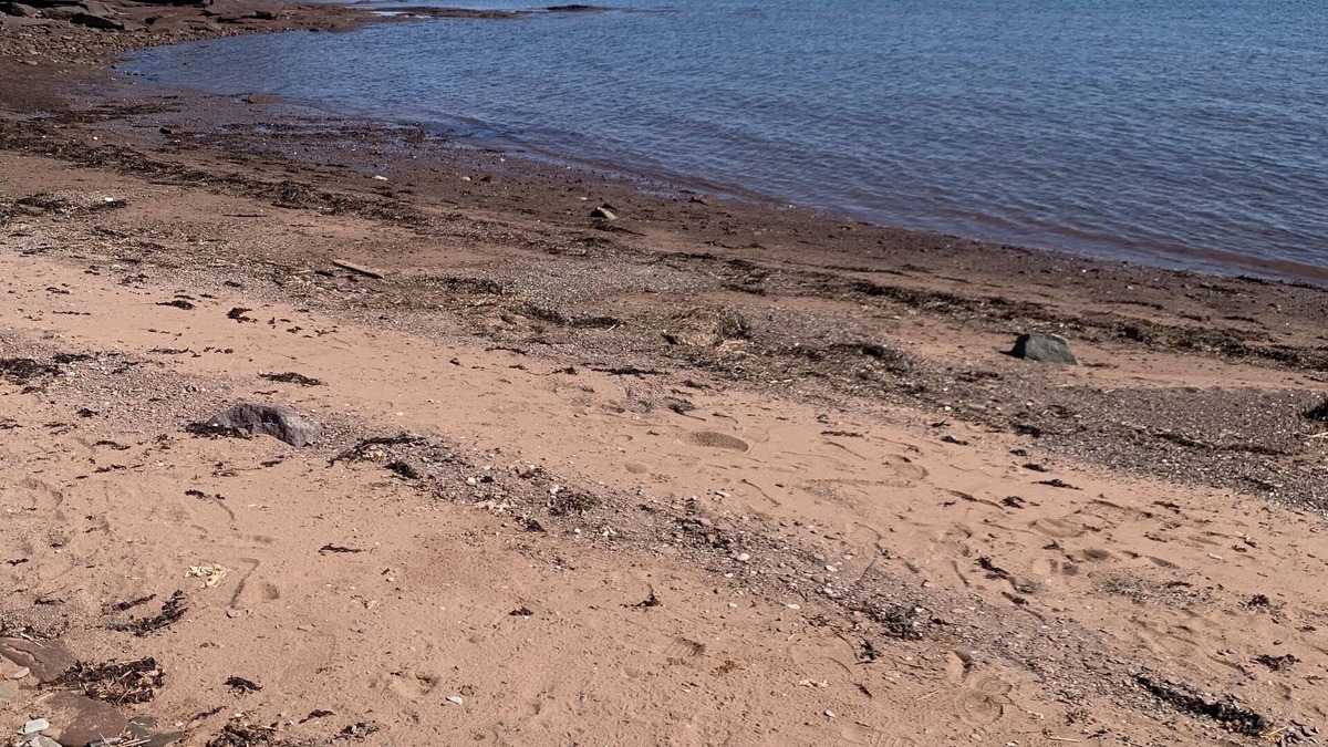 Seafoam Cottage | Family Cottage on the ocean