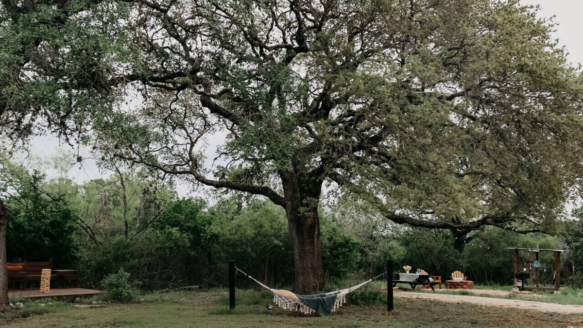New Braunfels House | Family Friendly Country 3 Bdrm w/Screened-In Porch and Full Kitchen