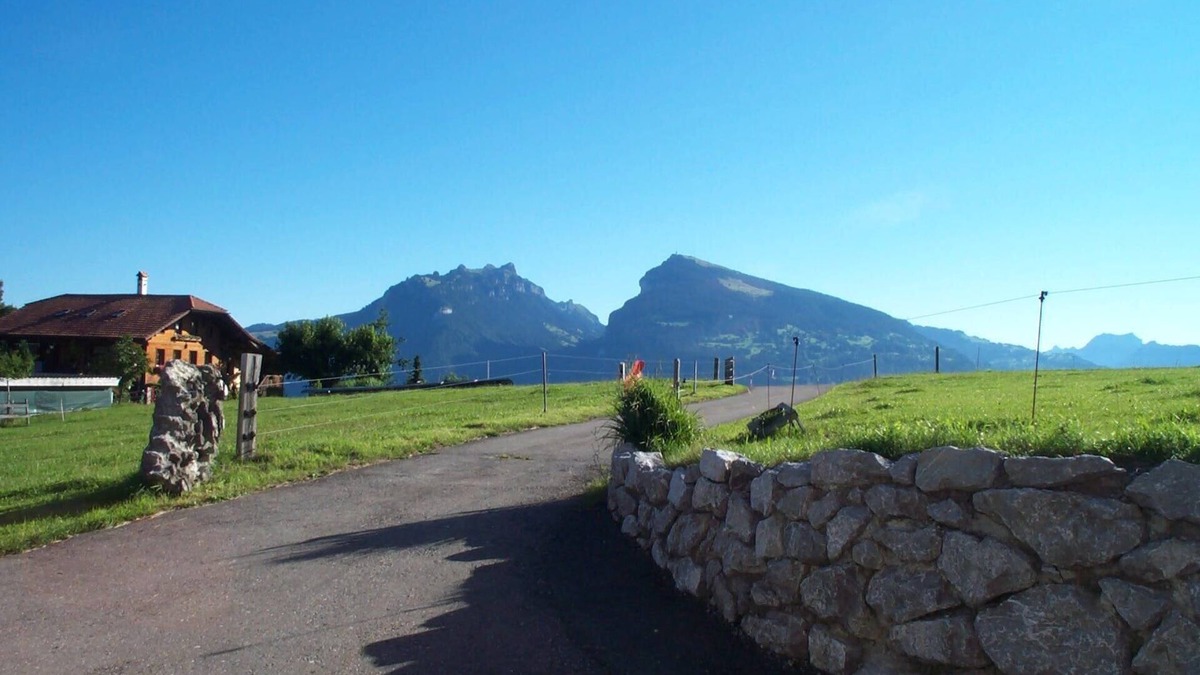 Aeschi bei Spiez Apartment | family-friendly apartment near Spiez and Interlaken, max. 4 persons