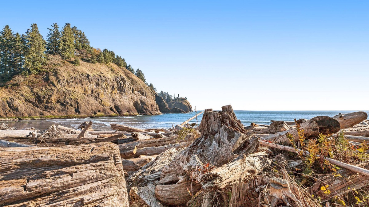 Nahcotta House | Family-Friendly Cottage with Firepit, Bay Views, Private W/D, & Free WiFi