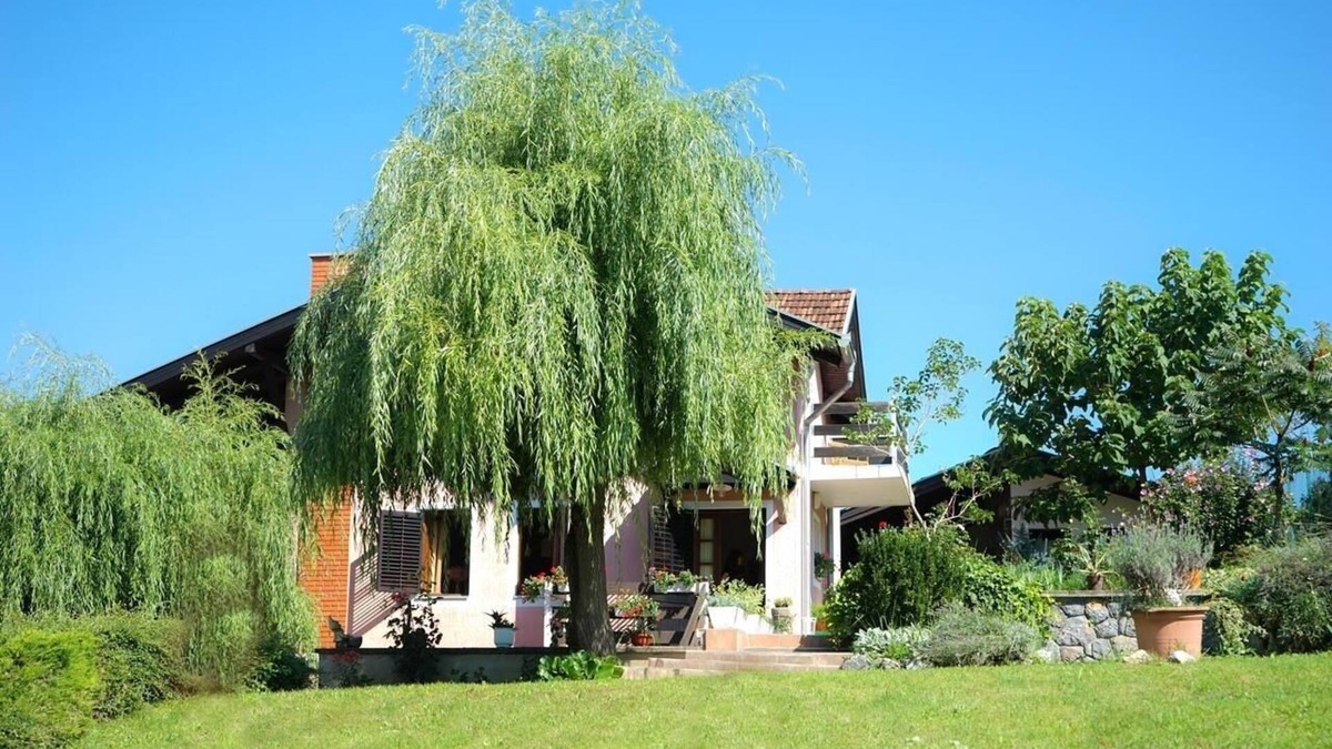 Daruvar House | Family friendly house with a parking space Daruvar, Bjelovarska (K-14920)