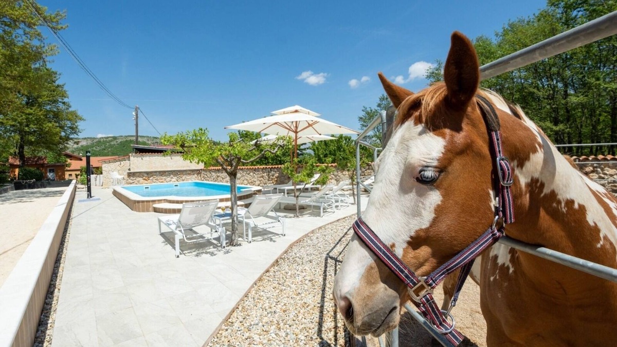 Vrlika House | Family friendly house with a swimming pool Maovice, Zagora (K-24726)