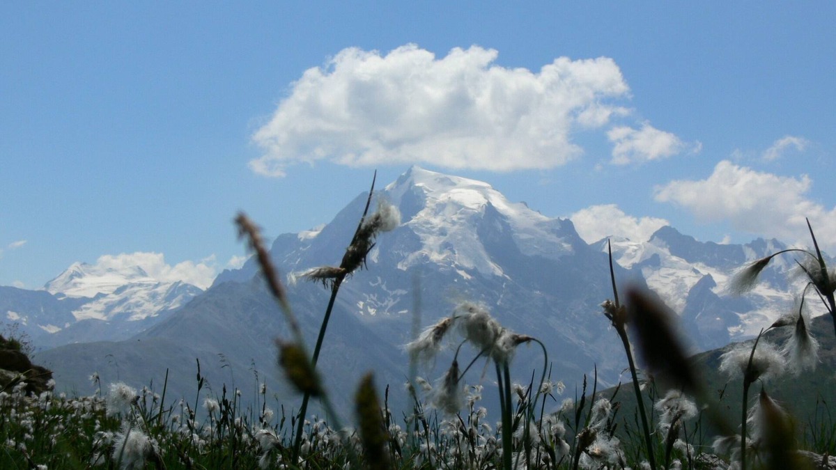 Tubre Apartment | Family-friendly Ortler vacation apartment.