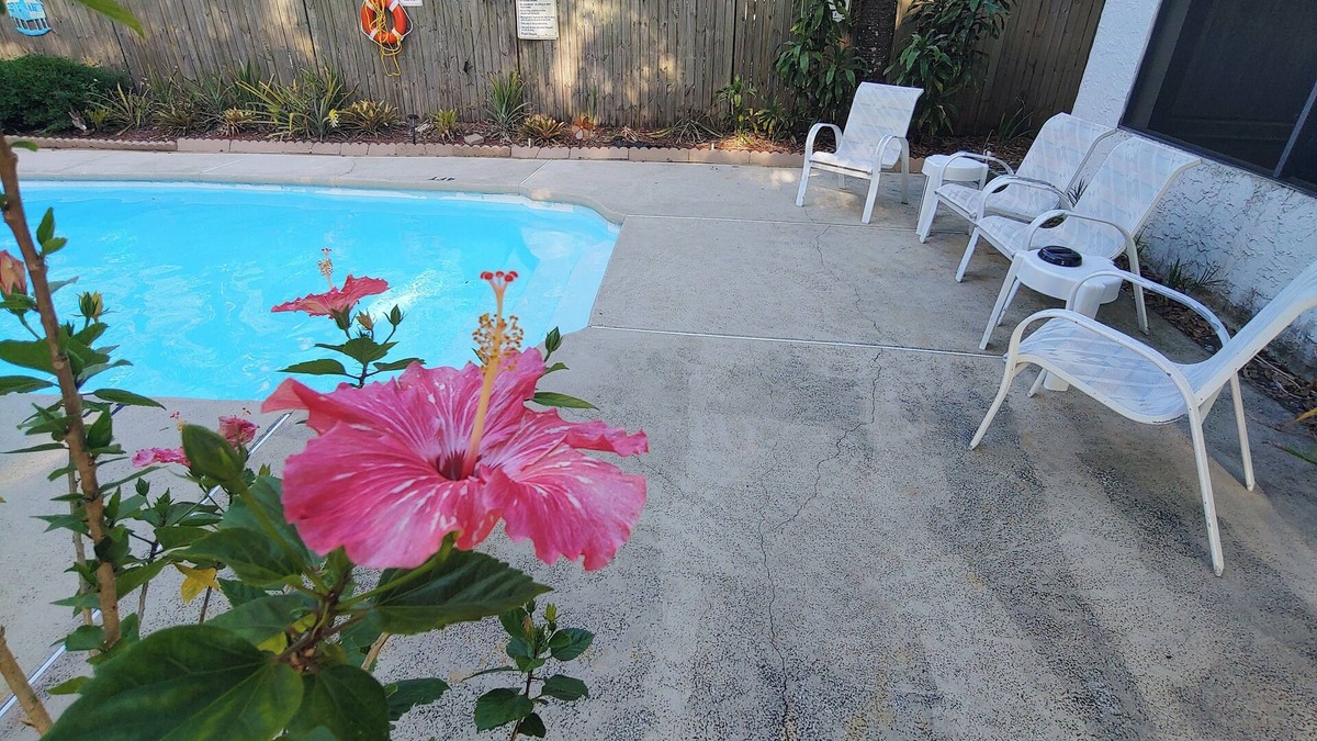 Lake Magdalene House | Family Getaway - spacious & near Busch Gardens/USF with Private 1bedroom suite