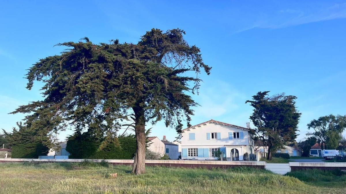 Mauzac House | Family home with sea view