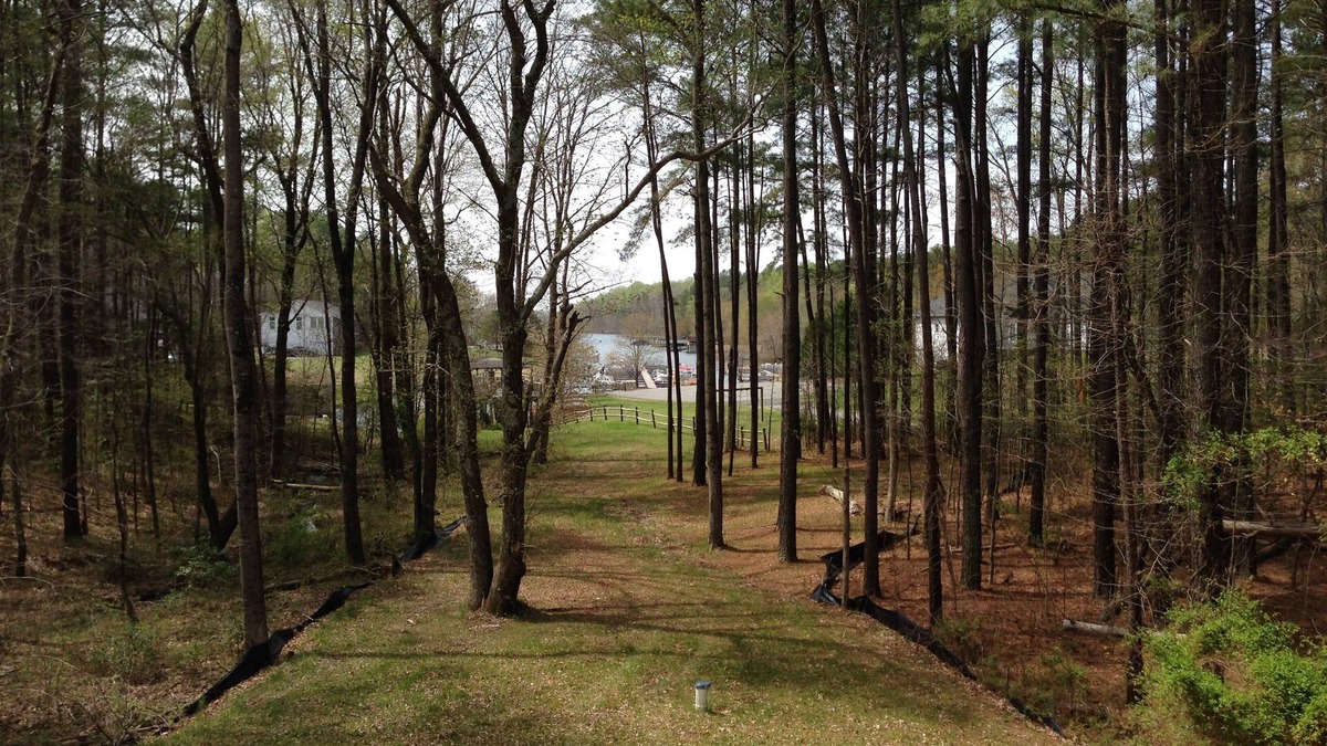 Bumpass House | Family Lakefront Retreat! Bring your boat to your own private boat house.