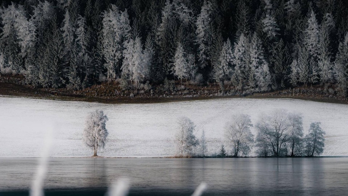 Aigen im Ennstal Apartment | Family room "Comfort" - Glitschnerhof