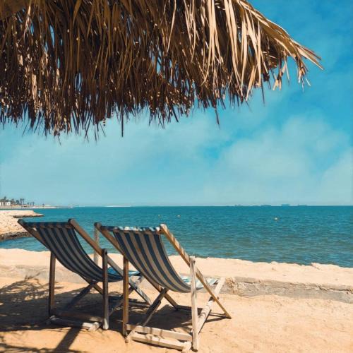 Fayed Apartment | Fanara Apartments Armed Forces