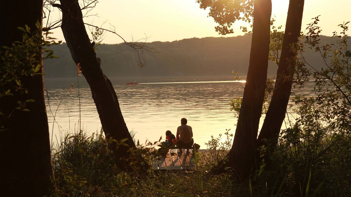 Feldberger Seenlandschaft Apartment | Fantastic property on the lake - Apartment between forest and water