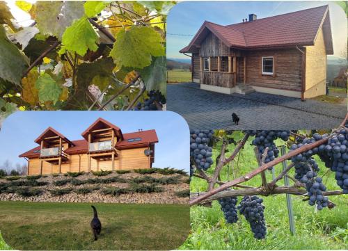 Gruszow Apartment | Fantastic View Vineyard Beskid Mountains