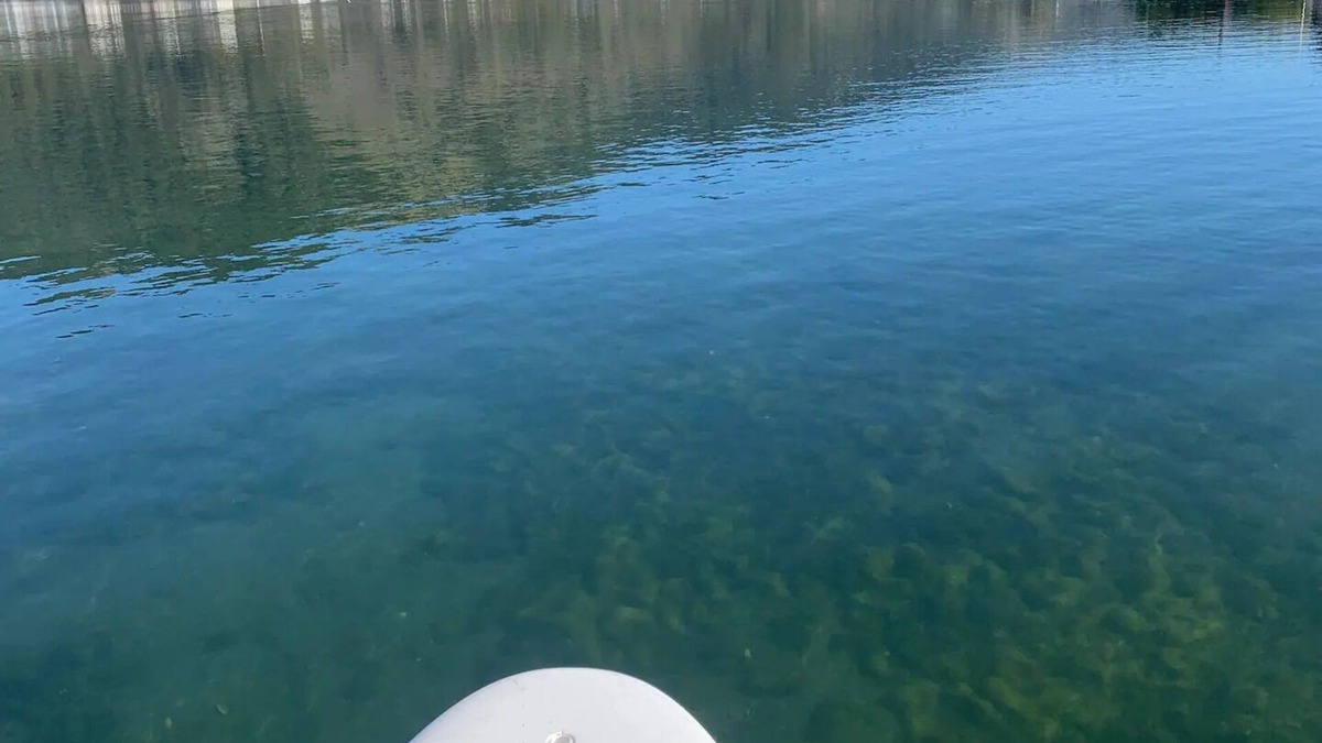 Stinson Beach House | Fantastic Waterfront Escape with Hot Tub, Firepit, Paddleboards, Dock & Bay View