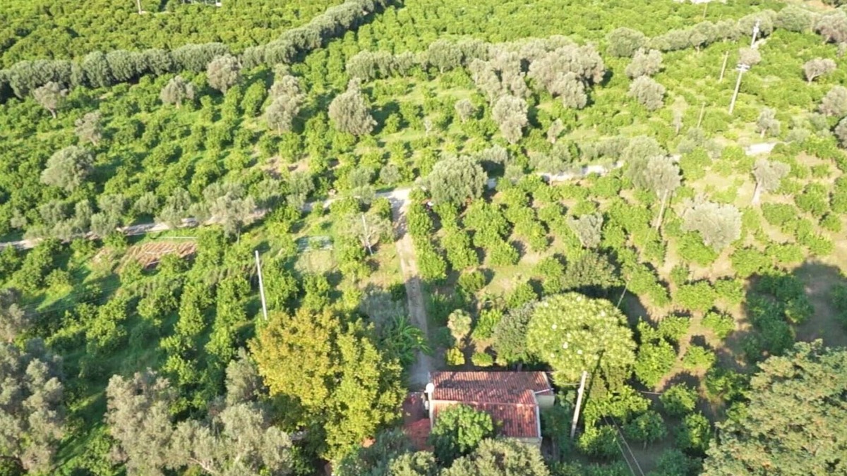 Mirto Other | Farm holidays with pool in Sicily, among the Nebrodi's park and close to the sea