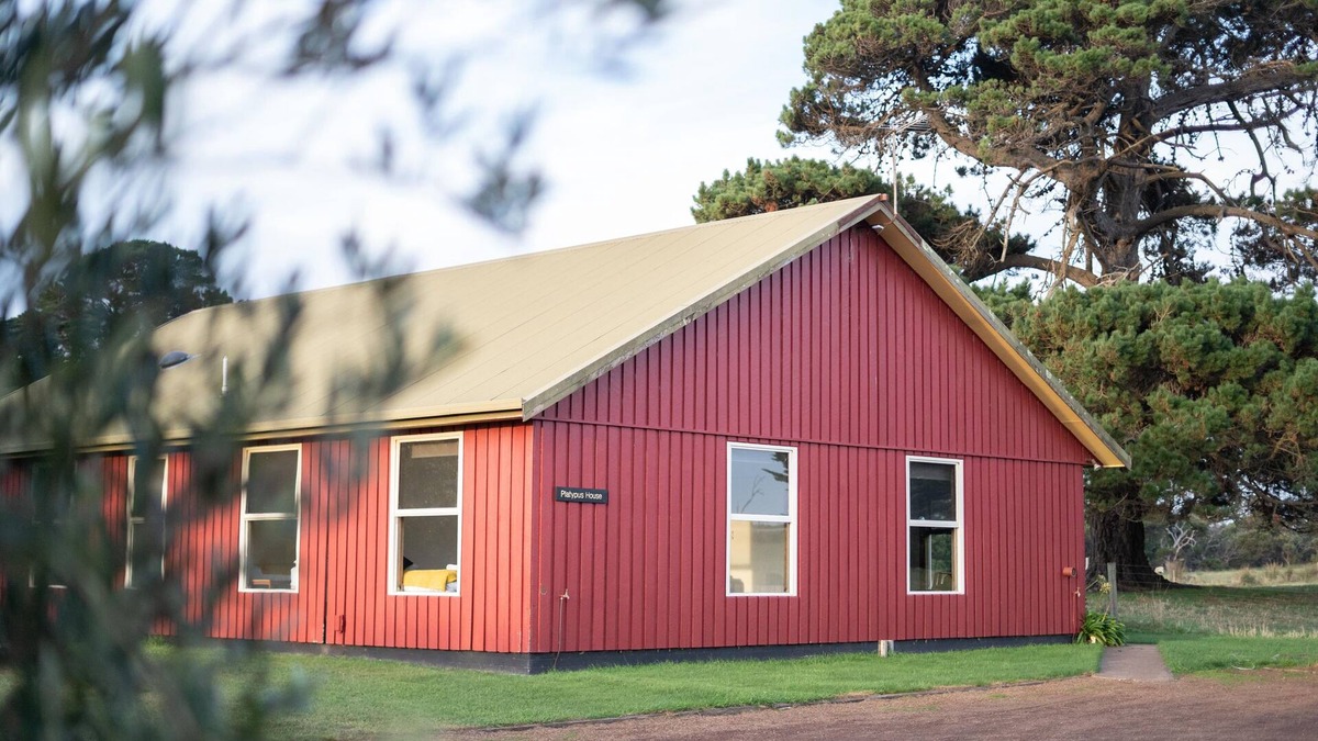 Mount William Other | Farm House Accommodation Northern end of the Bay of Fires 5 mins from Mt Willian