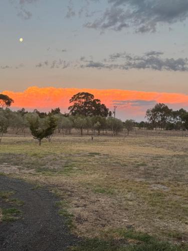 Diggers Rest House | Farm Stay, Feed Sheep & Relax