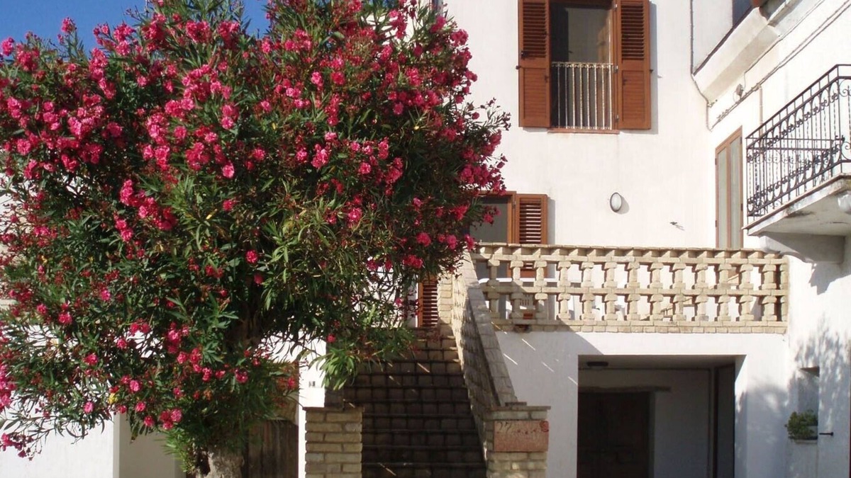 Ortona Apartment | Farmhouse apartment in Contrada Lazzaretto, Ortona, Abruzzo, Italy