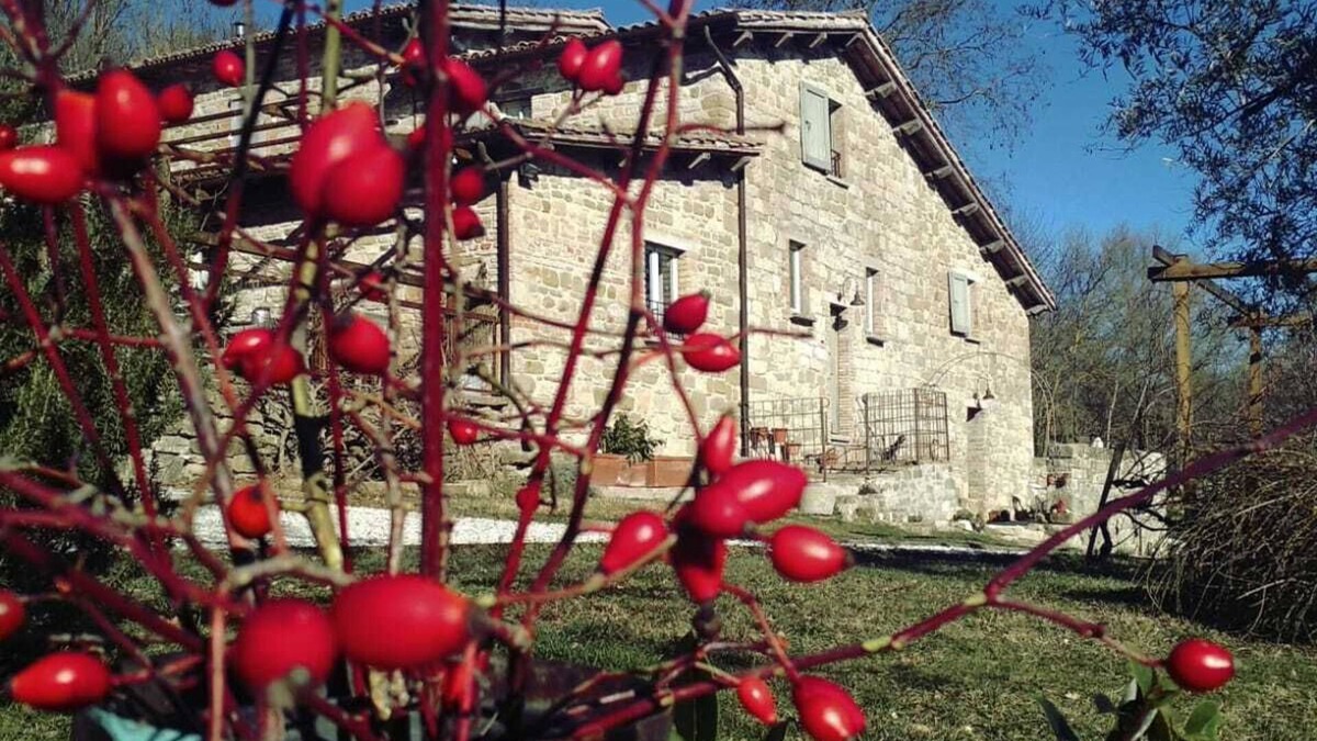 Mengara Other | FARMHOUSE MONTESALCE-BLUE APARTMENT