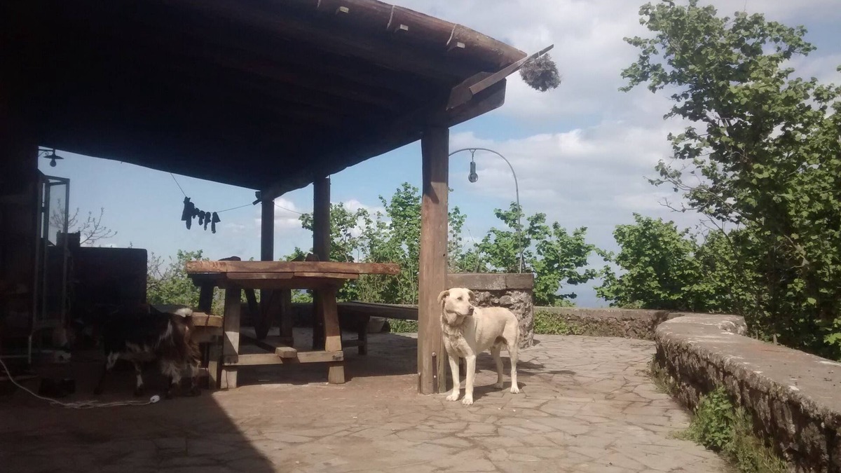 Sant'Alfio Other | Farmhouse the caraffara from agriculture up to 800 in stone