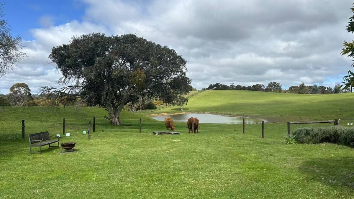 Bridgewater Other | Farmhouse with 4 bedrooms and WiFi, AC in awesome Bridgewater