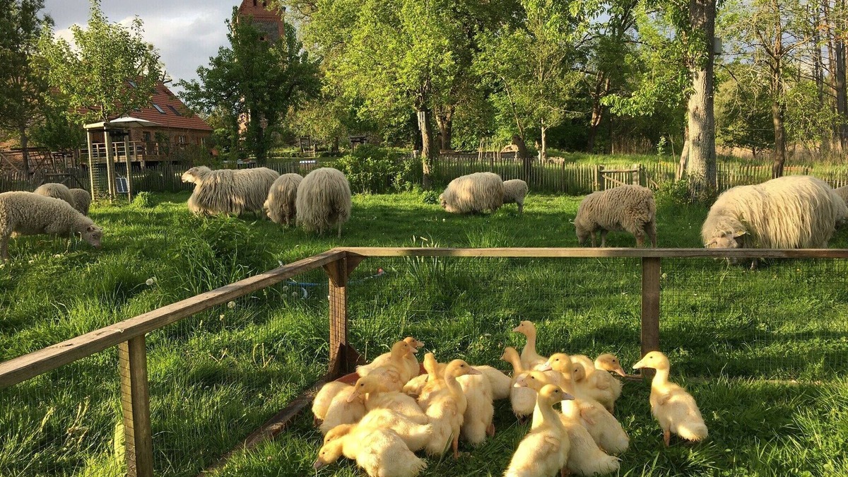 Pradikow House | Farmhouse with much peace