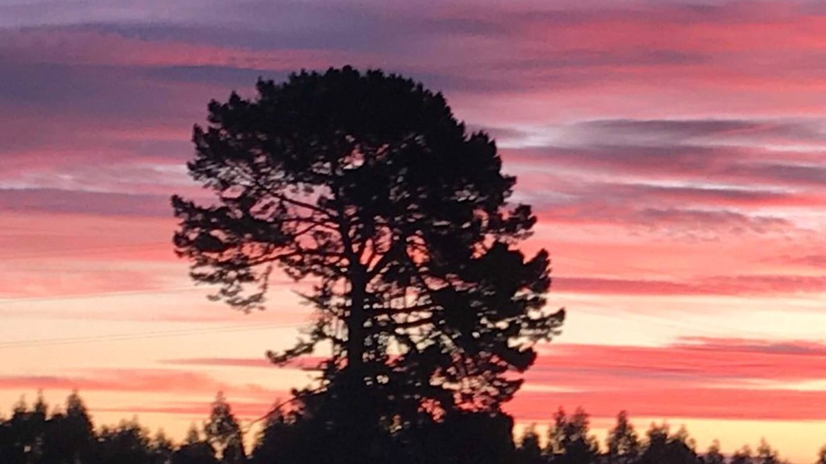 Kinleith Other | Farmland Retreat Tiny House