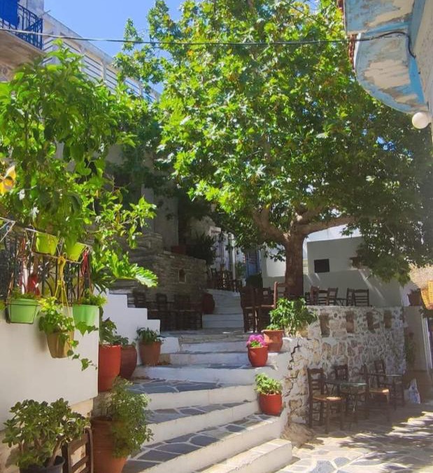 Filoti House | Fasolas square studio 15m2 is located 30 stairs up from the main road and it is in the old market fasolas and next to the museums