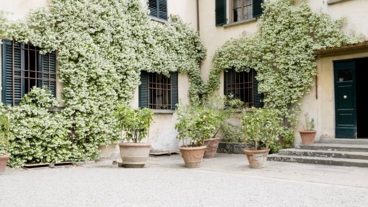 Bacchereto Other | Fattoria di Bacchereto - Guest House