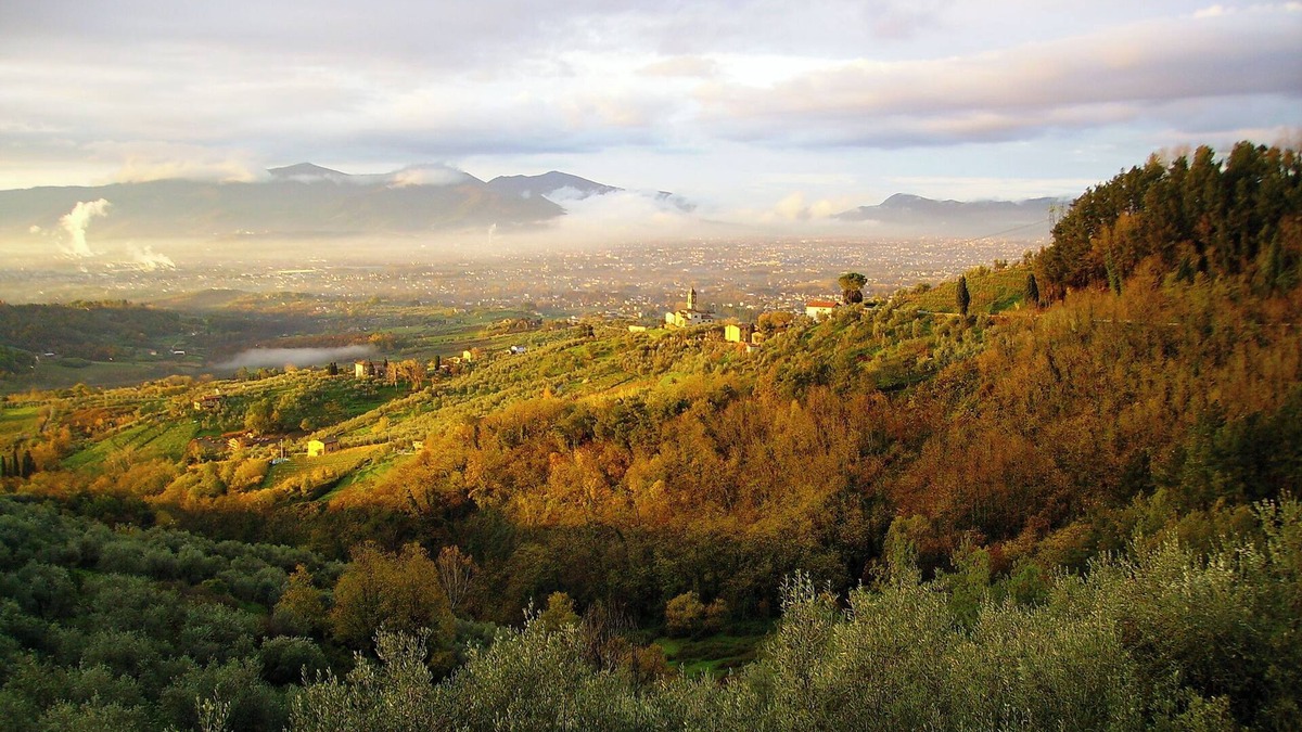 Petrognano Other | Fattoria di Petrognano, your B&B quadruple room