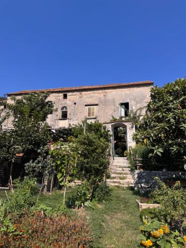 Tramonti House | Felicia's Country House
