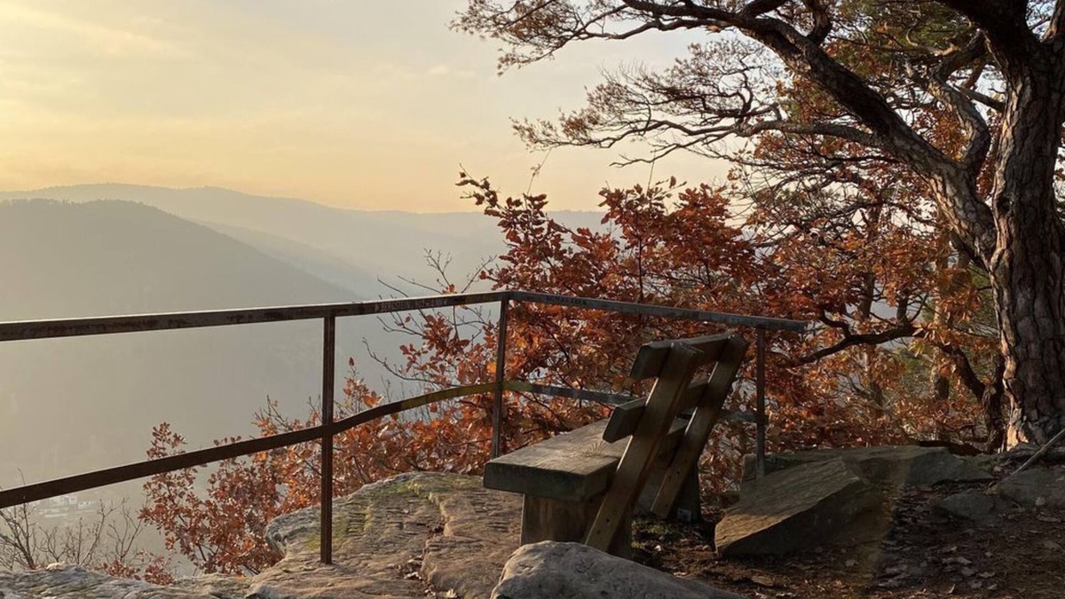 Neustadt an der Weinstrasse Apartment | Ferienwohnung Wolfsberg - Apartment/apartment, shower and bath, WC, ground floor/P