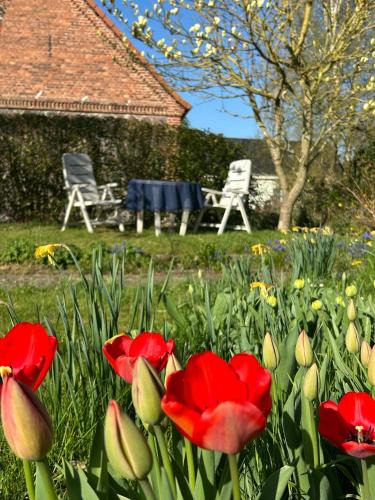 Gnevkow House | Ferien Gnevkow 45 - Mit dem Zug direkt ins Grüne - Entspannung inklusive