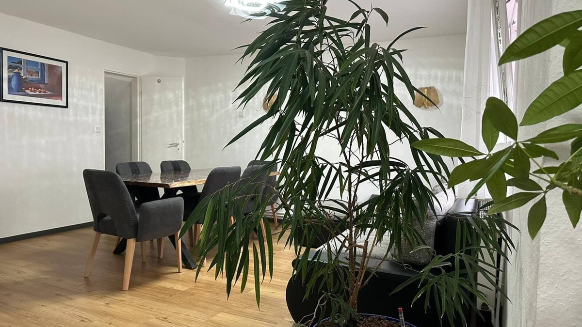 Nidderau Apartment | Ferien Haus Formidable