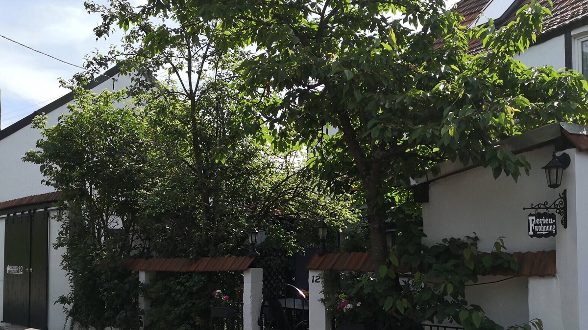 Nackterhof House | Feriendomizil 12 - Domizil mit 3 Wohnungen