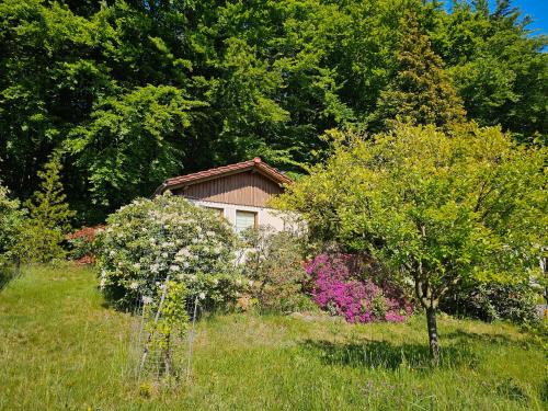 Gickelsberg House | Ferienhaus am Wald mit Südblick