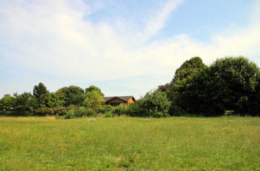 Luhmannsdorf Apartment | Ferienhaus an der Wiese