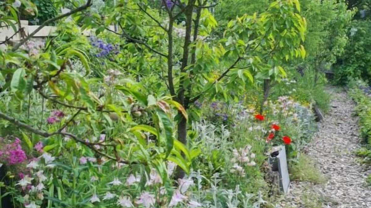 Bromberg Apartment | Ferienhaus BLACK & WHITE