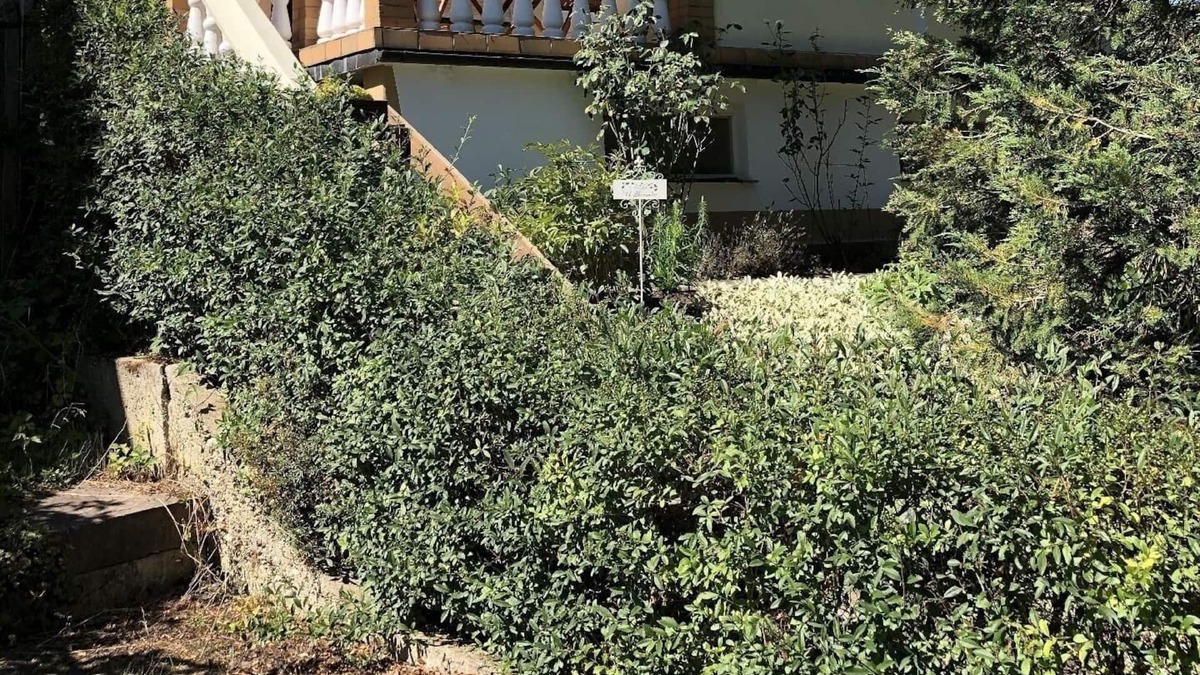 Riepke House | Ferienhaus für 2 Gäste mit 35m² in Riepke