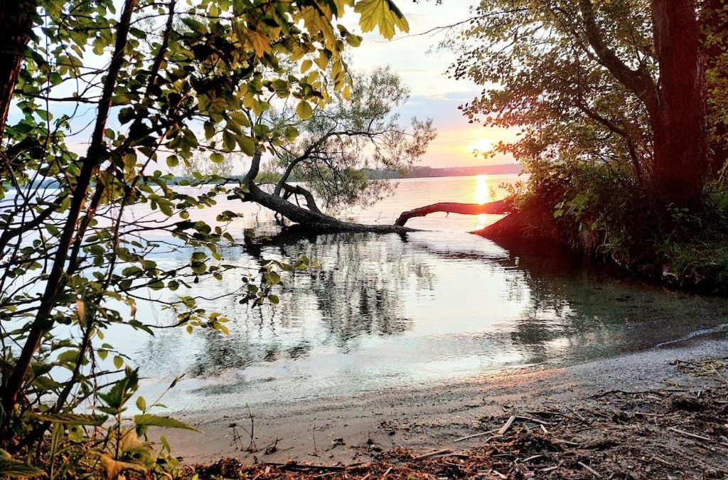 Dobin am See House | Ferienhaus Flessenow am Schweriner See